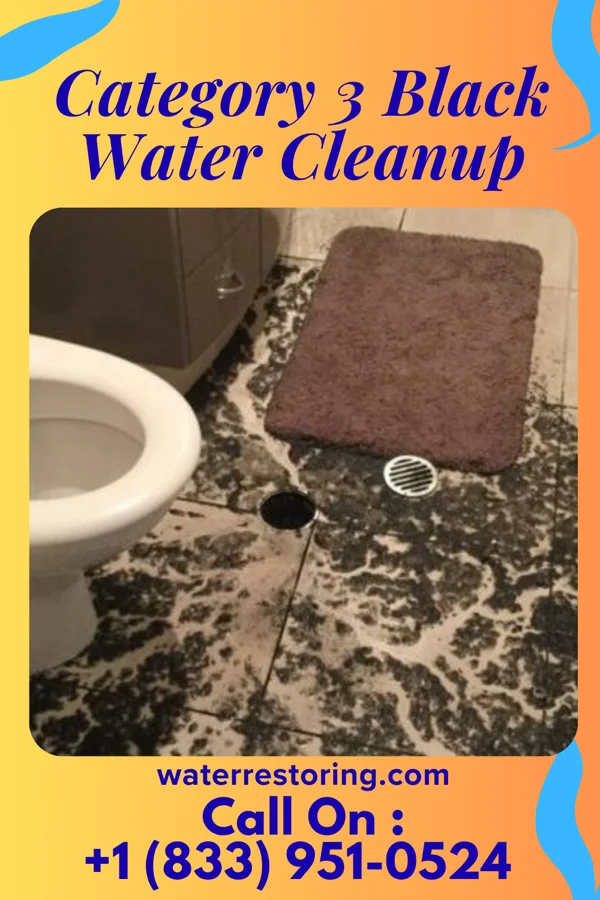 Category 3 Black Water Cleanup in Sandyfield, NC